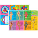 HUMAN BODY LEARNING MAT 2 SIDED