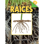 RAICES HARDCOVER SPANISH BOOK