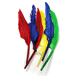 QUILL FEATHERS 10IN & 12I N 6 CT