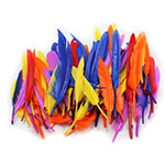 DUCK QUILLS FEATHERS 14 G RAM BAG
