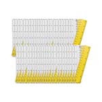 (48 EA) 6IN PLASTIC RULER