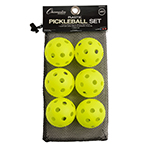 RECREATIONAL INDOOR PICKL EBALL SET