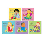 SMALL SENSES 5 BOOKS