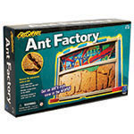 ANT FACTORY GR PK & UP