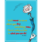 DR SEUSS TRY SOMETHING NE W 17X22