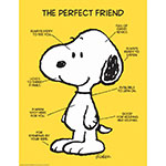 PEANUTS THE PERFECT FRIEN D 17X22