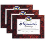 (3 PK) CERTIFICATES OF AP PRECIATION