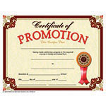 CERTIFICATE OF PROMOTION 30/PK