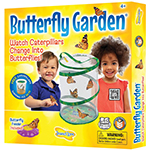 BUTTERFLY GARDEN