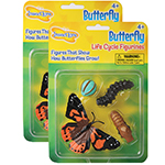 (2 ST) BUTTERFLY LIFE CYC LE STAGES