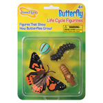 BUTTERFLY LIFE CYCLE STAG ES