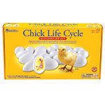 CHICK LIFE CYCLE EXPLORAT ION SET