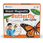 GIANT MAGNETIC BUTTERFLY LIFE CYCLE