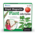 GIANT MAGNETIC PLANT LIFE CYCLES