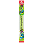 TWIST N FLEX RULER 12IN / 30CM