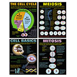 CELLS TEACHING POSTER SET