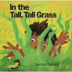 IN THE TALL TALL GRASS BI G BOOK