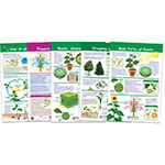 ALL ABOUT PLANTS SET OF 5