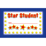 INCENTIVE PUNCH CARDS STA R STUDENT