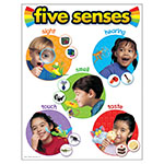 CHART FIVE SENSES 17 X 22 GR PK-2