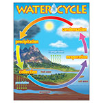 CHART THE WATER CYCLE