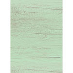 MINT PAINTED WOOD BB ROLL 4/CT