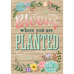 BLOOM WHERE YOU ARE PLANT ED POSTER