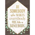 BE SOMEBODY WHO MAKES POS TER