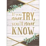 IF YOU NEVER TRY YOULL NE VER POSTER