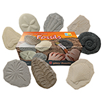 PLAY AND EXPLORE FOSSILS